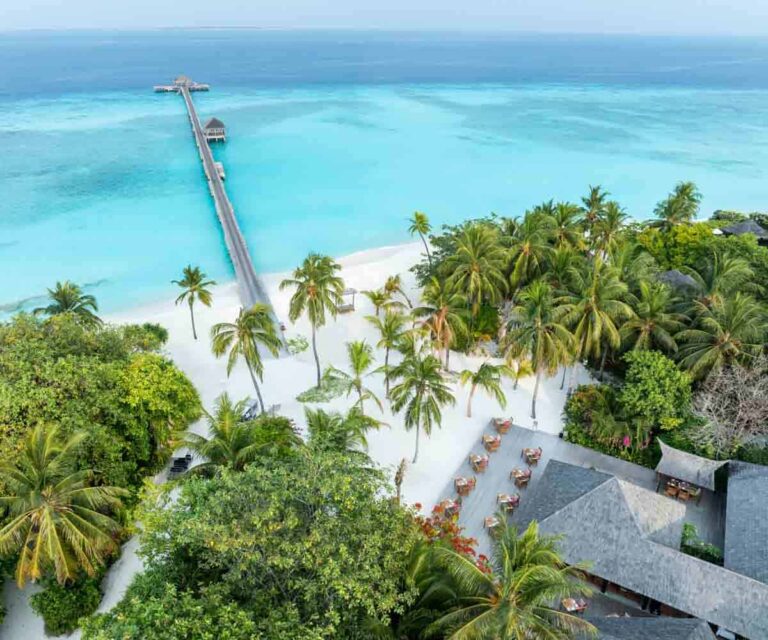 Vegan Maldives is really a thing and you’re going to love it