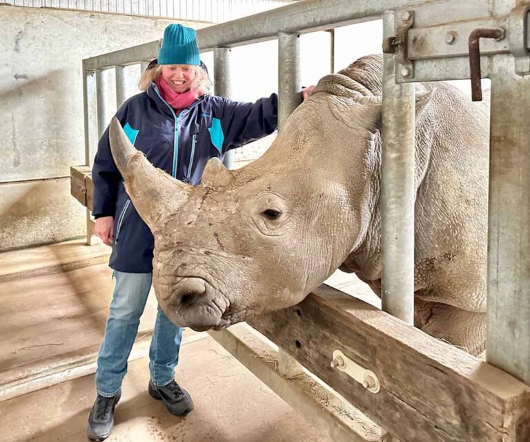 6 wonderful animal experiences in England